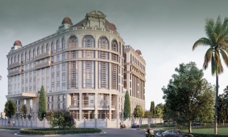 Sikka Kingsberry Greens 